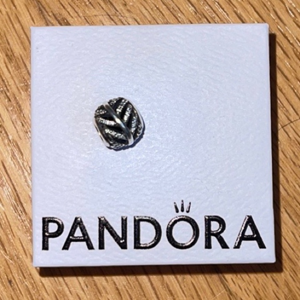 Pandora charm
